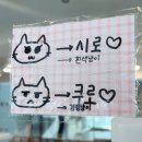 9시9분안경마켓 | 서울 마포구 홍대 애견 카페 홍대 동물원 쥬민센터 홍대 이색 데이트