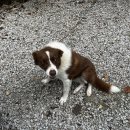 데미샘계곡펜션 | [진안] 슬기로운전북여행으로 할인받고 가족여행가기 /진안데미샘계곡펜션/단체숙박