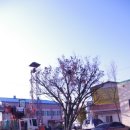 황간면사무소 이미지