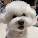 쥬뗌몽슈 이미지