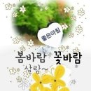 칠곡초등 이미지