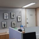 야호관광 이미지