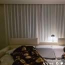 데코 | 동대문 커튼 제작 전화 주문도 가능한 디자인데코 후기