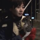 특유 이미지