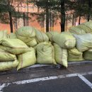 문산선유5단지 휴먼시아 | *파주시 문산읍 아파트 낙엽 - 문산선유3단지 휴먼시아아파트 낙엽 처리