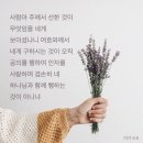 #미가