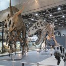 국립중앙과학관 이미지