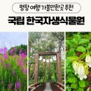 화원어린이공원 - 2486 | 평창 여행 가볼만한곳 국립한국자생식물원 방문 후기