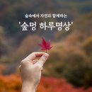 자연과함께 이미지