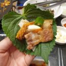 돈칭칭 이미지