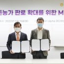 양돈 이미지