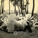 추억여행 이미지