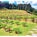 산새목장 이미지