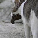 새들의천국 이미지