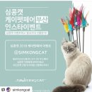 심콩캣 이미지