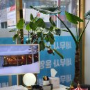 세무법인현답 - 서초구 서초대로41길 14 | 세무법인현답