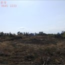 상모리-11 이미지