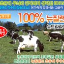 라이프사 이미지