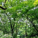 계룡산에서 황천구경 이미지