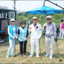 파크골프 인기 이미지