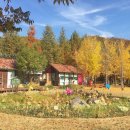 햇살아래캠핑장 이미지