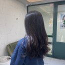 제시헤어 이미지