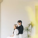 루브스튜디오
