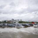 자동차 119 이미지