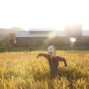 고창농원 이미지