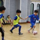 광주어린이체육센터 풋살장 이미지