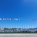 주식회사 진약품 이미지