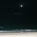 고래사냥펜션 이미지