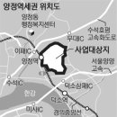 법인양정