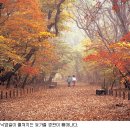 마음길 이미지