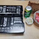 피자홍플러스 이미지