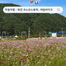 [ 하동 여행 ] 하동 가볼만한 곳 북천 코스모스 축제 , 하동 레일바이크 , 근처 맛집 카페까지