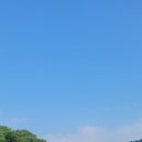 우리나라 블루존