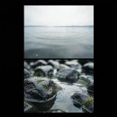AI합작화음畵音 016 | Below the Surface 이미지