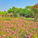 연수구청분수대 이미지