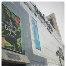 뉴코아아울렛 괴정점 이미지