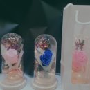 카라플라워 이미지