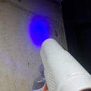 한성목화 이미지