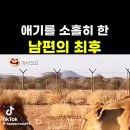 애기를 소홀하한 남편의 최후 이미지