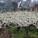 구암동558 이미지