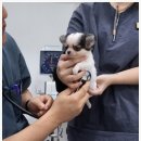 마음동물의료센터 이미지