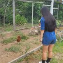 기린여행사(주) | 아무도 안써서 내가 쓰는 결혼식 업체 이용 후기 - 23-4. 호주 신혼 여행 4일차 (하나투어 구 시몽여행사)