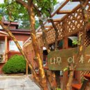 용인나무이야기 이미지