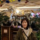 벨라지오 이미지