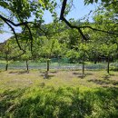 달림농장 이미지