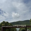 정성마트 | 강진 반값 여행 후기 관광지 식당 숙소 마트